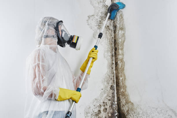 Best Crawl Space Mold Removal  in Timberlake, VA