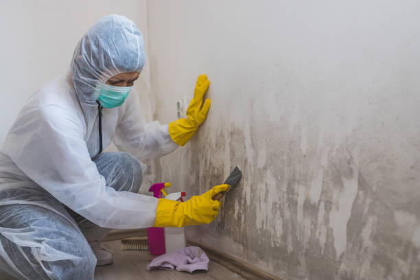 Best Mold Testing  in Timberlake, VA