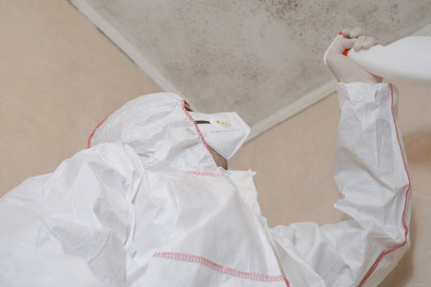 Best Commercial Mold Removal  in Timberlake, VA